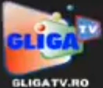 On-screen bug (2012–2016)