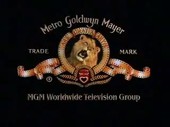 MGM Worldwide Television Group