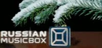 New Year on-screen bug (2012-2013)