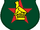 Zimbabwe national rugby union team