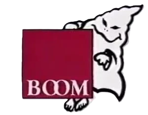 Boom video logo
