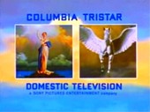 Columbia TriStar Domestic Television Logo 2001 c