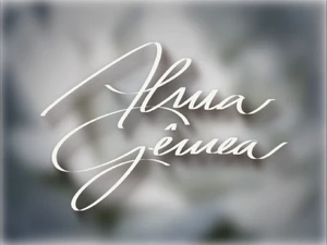 Alma Gêmea 2005 abertura