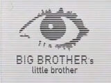 Big Brother's Little Brother