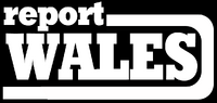 English-language variant