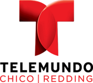 Telemundo 17 Logo 2