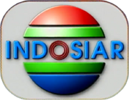 1998-1999