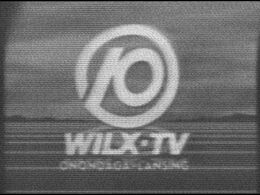 WILX-TV 10 1980's Logo