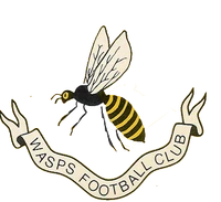Wasps FC logo old