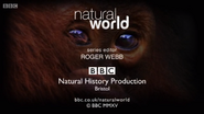 Natural World (2015)