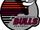 Jacksonville Bulls