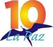 Alternate logo (2009-2011)