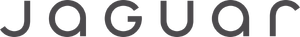 Jaguar 2024