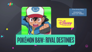Pokemon Black and White: Rival Destinies (Asia)