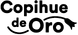 2021–2024
