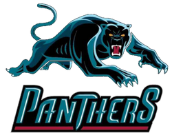 Details more than 80 panthers logo png 