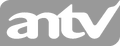 Antv