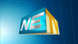 NETV (2011)