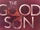 The Good Son