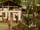 Dangal (film)