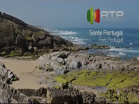 RTP Internacional 2014