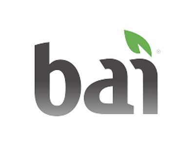 File:BAI Logo Homepage.jpg - Wikimedia Commons