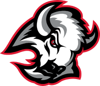 Buffalo Sabres Old Logo