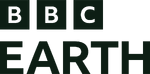 Alternative logo used online