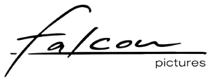Falcon pictures black logo