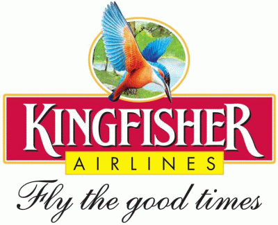 Kingfisher bird colorful logo Royalty Free Vector Image