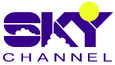 Convert Sky Racing 1985–1998 logo