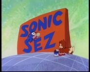 Frame 1 as Sonic Sez