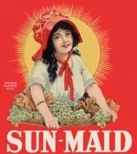 Sun-maid-1923