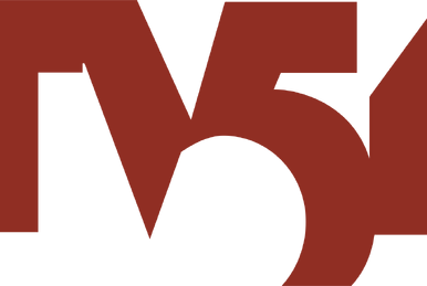 WTVE | Logopedia | Fandom