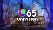 Wuvp univision 65 second id 2017