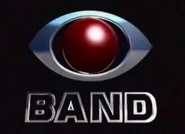 Main Ident/Commercial Breaks