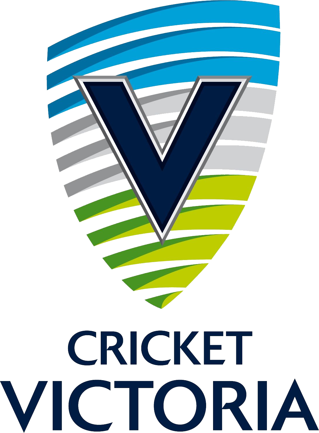 Papua New Guinea national cricket team Cricket World Cup South Africa  national cricket team Australia national cricket team, cricket transparent  background PNG clipart | HiClipart