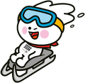 Luge