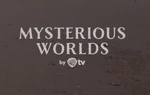 On-screen bug (Mysterious Worlds)