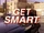 Get Smart (1995)