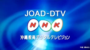 JOAD-DTV2006