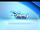 Disney Channel (Russia)/Endboard logo