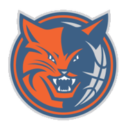 Alternate logo (2007-2012)