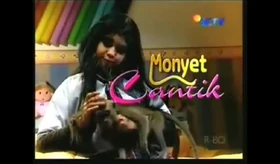Monyet Cantik