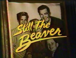 Still-the-beaver