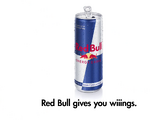 Red Bull Energy Drink