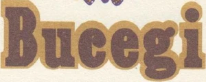 Bucegi logo 1980