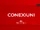 Conexiuni