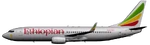Aircraft livery Boeing 737-800
