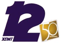 50th anniversary logo.